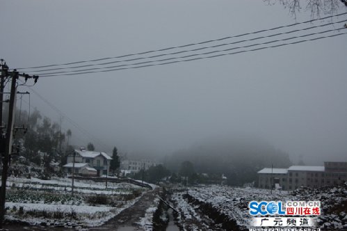 广元气温陡降 出现罕见秋季飘雪(图)_网