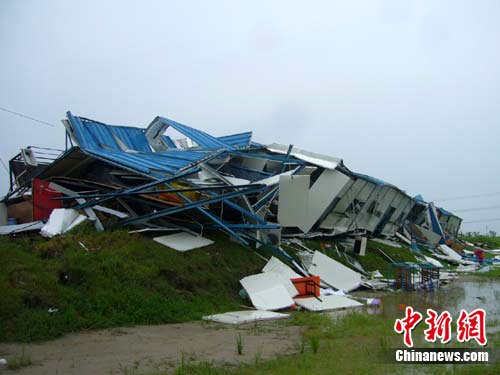 江苏泰州:一天遇两次强对流天气 大树被拔起