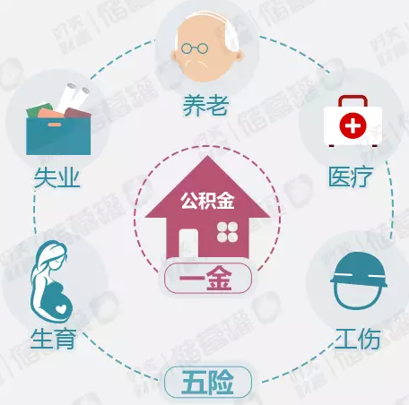 杨家才挨骂原因_没有收入要挨骂的
