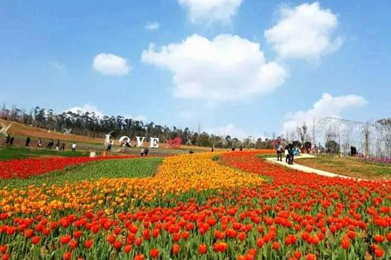 百花谷_百花谷风景区