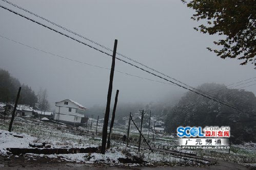 广元气温陡降 出现罕见秋季飘雪(图)_网