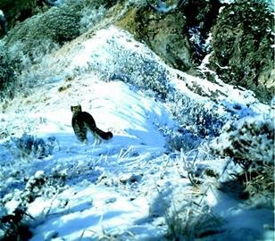 ���غ�ˮ�ӱ������������״����㵽ѩ��(ͼ)