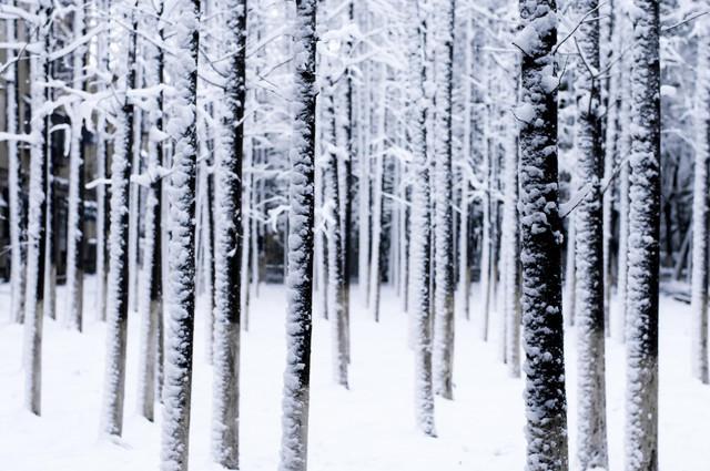 相机新玩法 四招让你拍的雪景与众不同