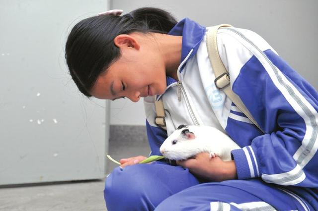 诚信之问:成都女孩首次网售 说好退货未收不到