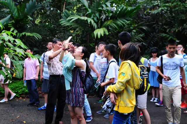 崇庆中学附属初中学生赴新加坡访学归来