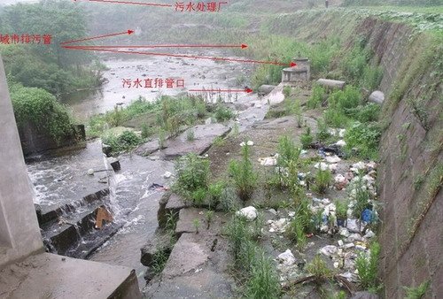 污水直排入河 四川西充县官员回应网友质疑_新