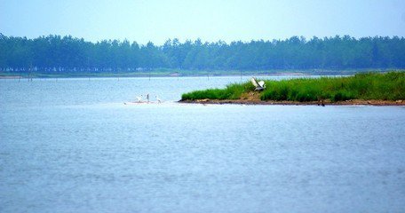 津市毛里湖跻身"国家湿地公园"