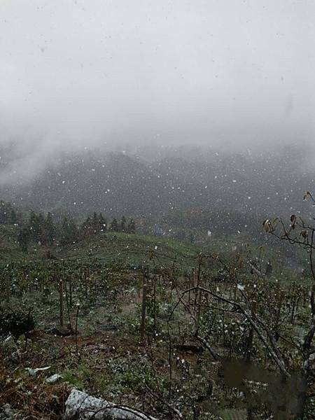 常德东山峰降下湖南今冬第一场雪
