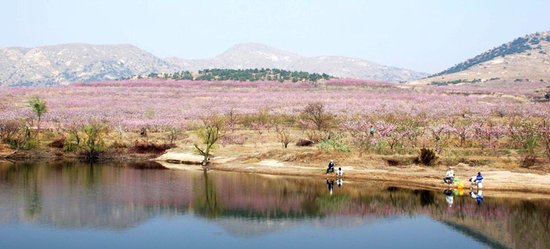 常德桃花源100亿打造“东方浪漫园”