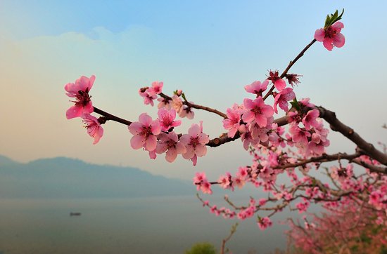 常德 桃花源里的街心花园