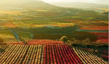 【潞鼎国际】带您走进西班牙第一大酒庄