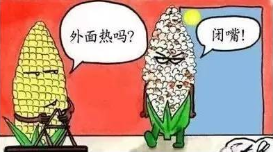 迪拜人均月收入_月收入20000元
