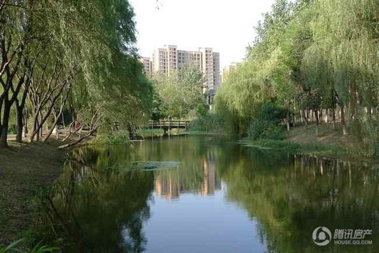 亨达未来城比黄金更疯狂,花五千赚五万!_频道