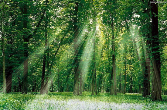 常州今年将建17个公园绿地 高绿化好盘安家森