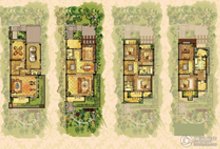 孟河首府357.00㎡户型图