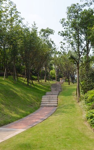 龙湖重庆行__常州腾讯房产