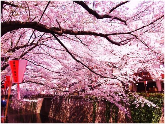 春风十里鉴桃源 由内至外的豪宅细节_频道-常州_腾讯网