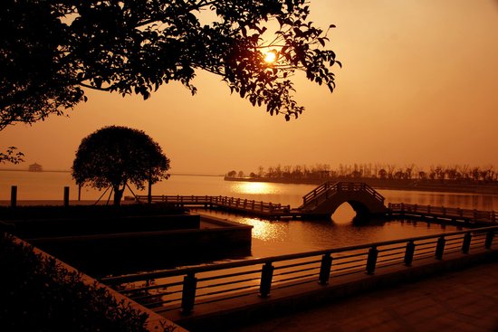 西太湖龙舟赛完车展来 周边生态宜居盘受信赖