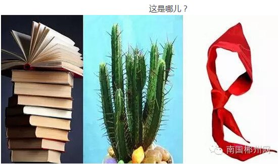人口猜地名_人口普查图片(2)