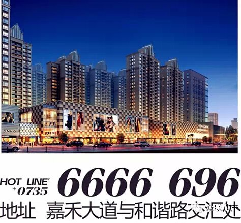 嘉禾只人口_嘉禾望岗图片