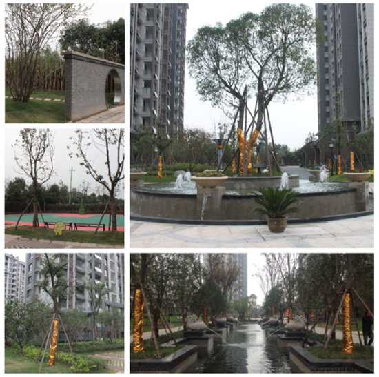 平湖观邸:人民路游乐场开业 九华山大道改造_