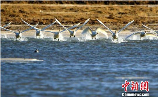 甘肃甘南州推进河长制 244条河湖实施“最严考核”