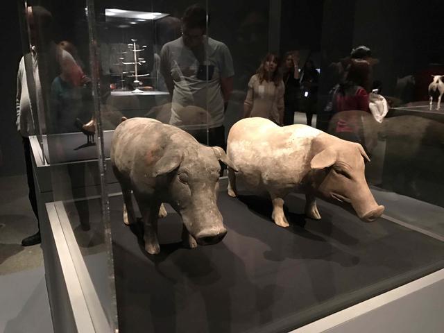 展览内丰富的动物形象(汉代,陶器)。图片来源:徐安琪 然而,展览的回看意识与它的戏剧性究竟有没有逃脱好莱坞化的魔咒?这是需要仔细推敲并引以为鉴的问题。毋庸置疑的是,秦汉特展印证了中美博物馆合作的可能性,并势必带动这一潮流。但它也并非完美。首先,展览仍在揣摩海外公众对中国的了解程度。展签的模糊便是其一大不足。比如,笔者身旁的一对游客因为缺乏对中国古代货币的了解,在阅读完摇钱树的介绍后,仍不知展品究竟何意。看到他们的困惑,笔者自己在读完介绍后,甚至都有些尴尬的云里雾里。比起这样的问题,更值得人