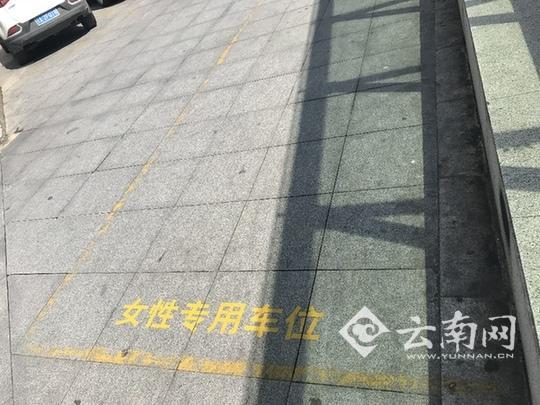 昆明现女性专用停车位 专家建议改名“新手停车位”