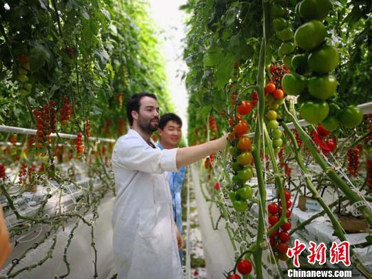 甘肃:从“为吃饱发愁”到多产业居全国前列