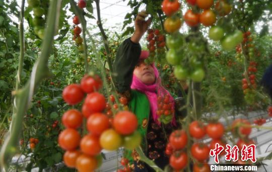 甘肃:从“为吃饱发愁”到多产业居全国前列
