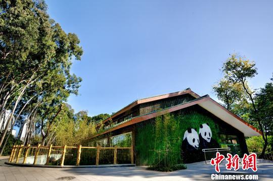 广州动物园大熊猫馆改造升级后对外开放