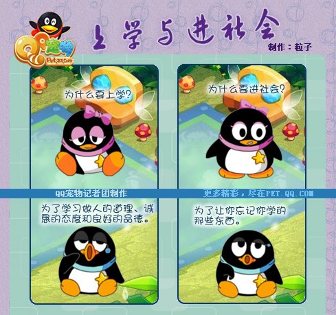 Q宠物超级可爱版面企鹅漫画_动漫_腾讯网