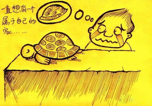 爱情和房子