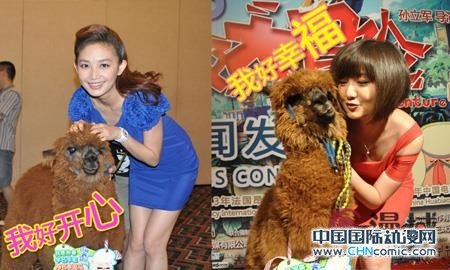 《终极大冒险》抢滩7月20日暑期档