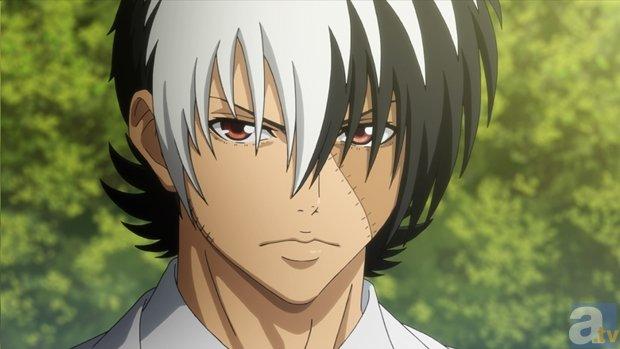 《 青年黑杰克 》动画开播前声优评论曝光_动漫