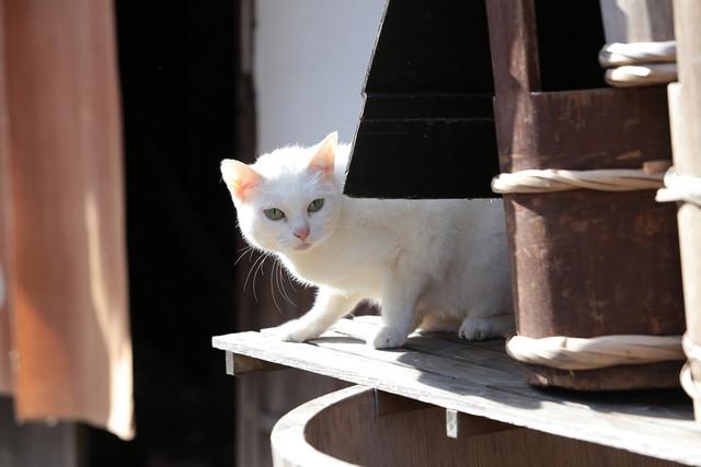 玉之丞片场最新照公开_动漫_腾讯网