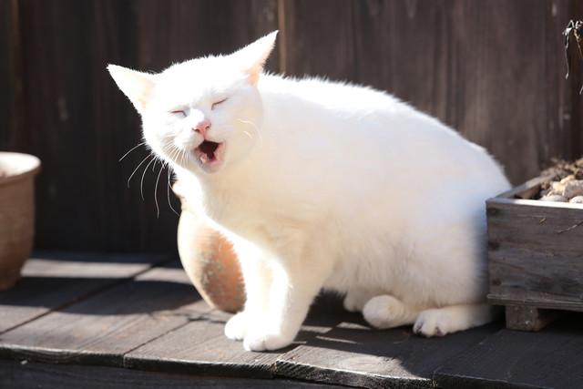 玉之丞片场最新照公开_动漫_腾讯网