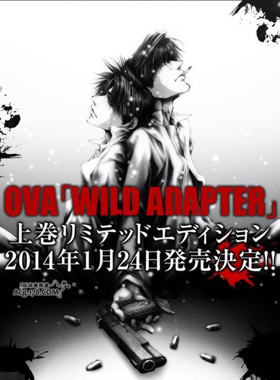 峰仓和也《WILD ADAPTER》OVA决定