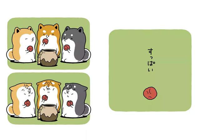 狗狗去上學超爆笑 可愛柴犬繪本在日本受歡迎