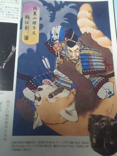 传说的幻灭 传说中的鵺竟然是只小熊猫