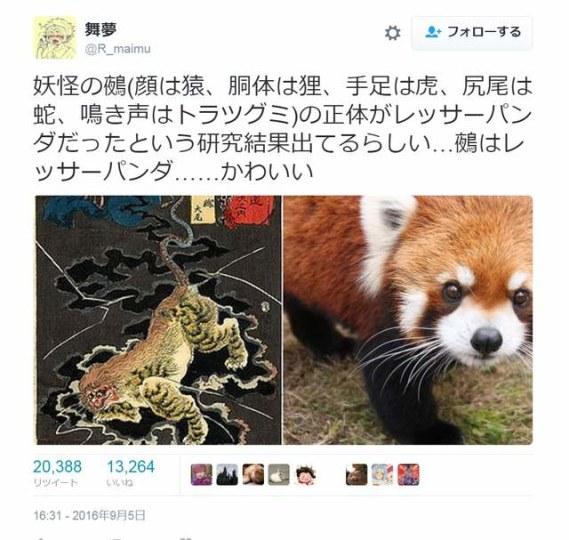 传说的幻灭 传说中的鵺竟然是只小熊猫