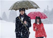 雪色与鲜血的混合!《三角草的春天》作者谈真人版