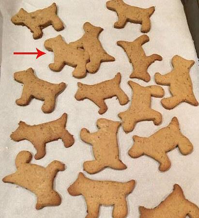 企鹅娘吐槽:节操该充值了