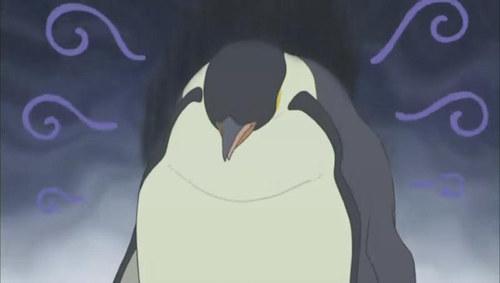 南极坏消息：15万只企鹅离开蓝星