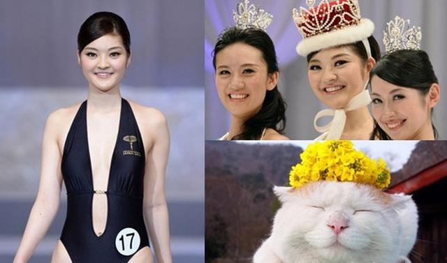 你喜欢扮成猫咪的女生吗?