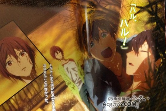 《Free!》主角4人小学时代人设公开