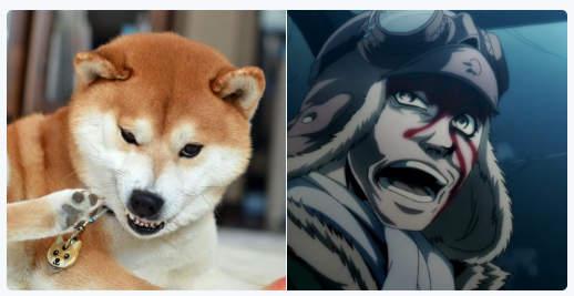 ·Ȯ Ʒ桰ȮҰֱơϷ