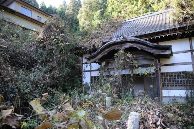 内衣寺_内衣美女