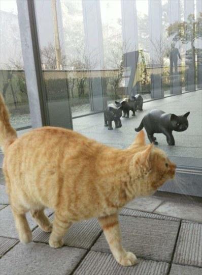 日本美术馆举行猫咪美术展 却拒绝真猫进入