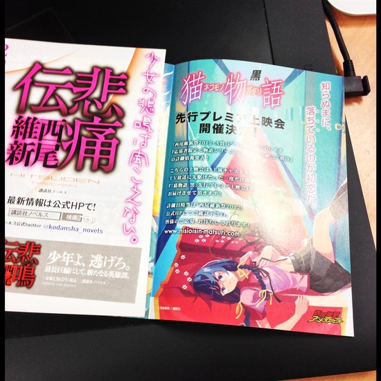 猫物语 黑高清在线